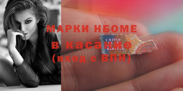 гашик Краснослободск
