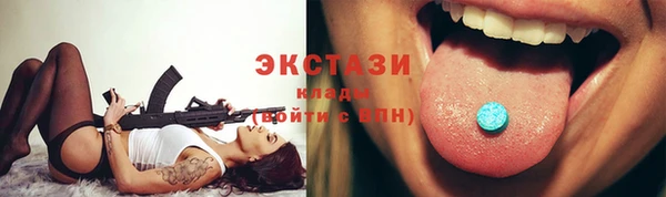 гашик Краснослободск