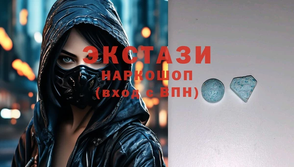 гашик Краснослободск
