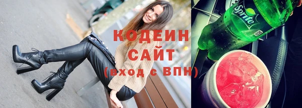 гашик Краснослободск