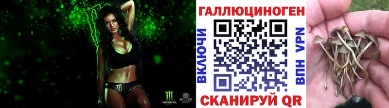 Псилоцибиновые грибы Magic Shrooms Елизаветинская