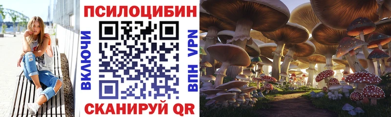 Галлюциногенные грибы ЛСД купить закладку mega рабочий сайт Елизаветинская